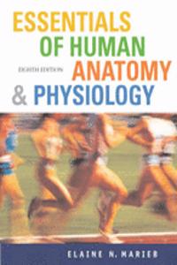 Essentials of Human Anatomy and Physiology