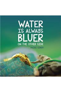 Water Is Always Bluer on the Other Side