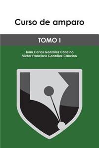 Curso de Amparo: Tomo I