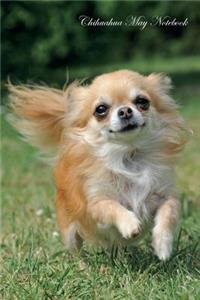 Chihuahua May Notebook Chihuahua Record, Log, Diary, Special Memories, to Do List, Academic Notepad, Scrapbook & More