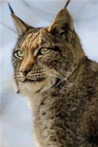 Portrait of a Lynx Journal