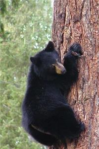 Brave Little Baby Black Bear Cub Climbing a Tree Journal