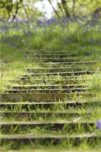 Grass Growing on Stone Steps on a Hill in Scotland Journal