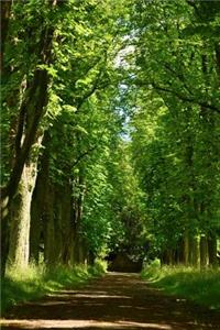 Beautiful Tree Lined Avenue Journal