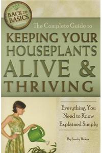 Complete Guide to Keeping Your Houseplants Alive & Thriving