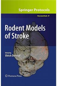 Rodent Models of Stroke