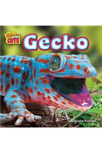Gecko