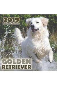 Golden Retriever 2019 Mini Wall Calendar