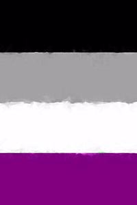 Asexual Pride Flag Journal