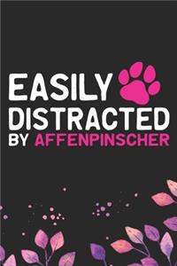 Easily Distracted by Affenpinscher
