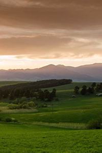 Kalender in der grünen Natur