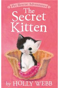 The Secret Kitten