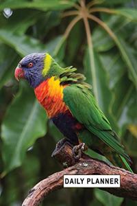 Low Vision Undated 90 Day Daily Planner Large Print