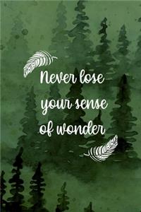 Never Lose Your Sense Of Wonder