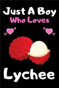 Just a boy who loves lychee: A Super Cute lychee notebook journal or dairy - lychee lovers gift for boys - lychee lovers Lined Notebook Journal (6"x 9")