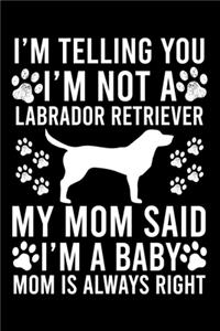 I'm Telling You I'm not A Labrador Retriever My Mom Said I'm A Baby Mom Is Always Right