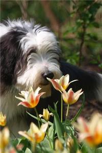Bearded Collie Stopping to Smell the Flowers Journal
