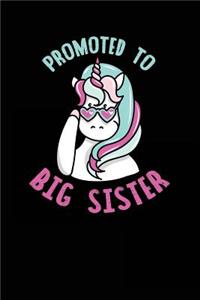 Promoted To Big Sister