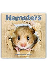 Hamsters Calendar 2018 (Square)