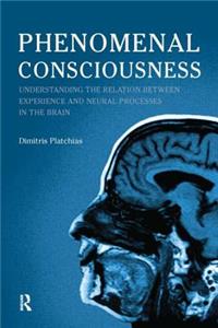 Phenomenal Consciousness