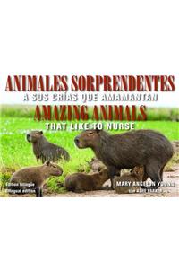 Animales Sorprendentes / Amazing Animals