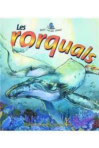 Les Rorquals