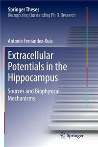 Extracellular Potentials in the Hippocampus