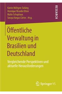 Öffentliche Verwaltung in Brasilien Und Deutschland