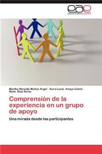 Comprension de La Experiencia En Un Grupo de Apoyo