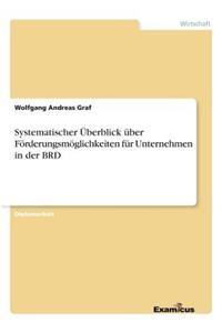 Systematischer Überblick über Förderungsmöglichkeiten für Unternehmen in der BRD