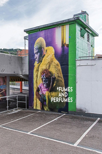 Fumes & Perfumes