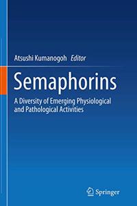 Semaphorins