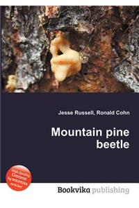 Mountain Pine Beetle