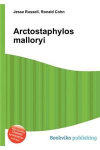 Arctostaphylos Malloryi