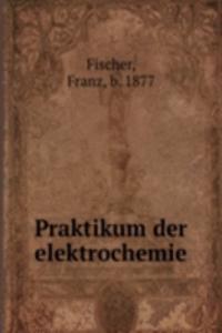 Praktikum der elektrochemie