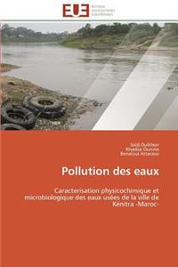 Pollution Des Eaux