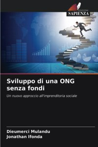 Sviluppo di una ONG senza fondi