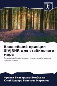 Важнейший принцип SIVJRNR для стабильного мира