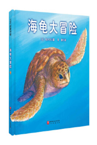 Turtle Adventures