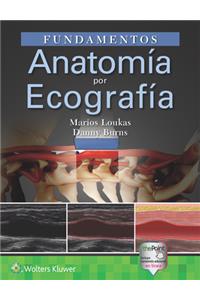 Fundamentos. Anatomía Por Ecografía