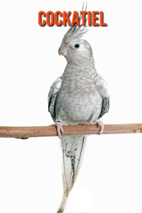 Cockatiel