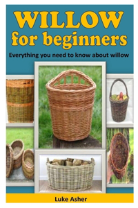 Willow for Beginners