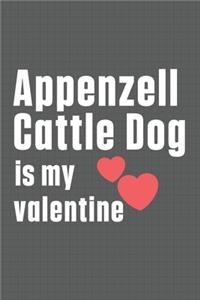Appenzell Cattle Dog is my valentine