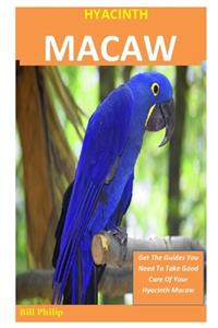 Hyacinth Macaw