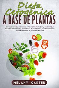 Dieta Cetogénica a Base de Plantas