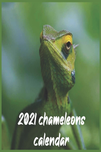 2021 chameleons Calendar