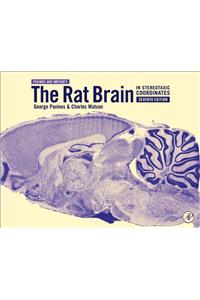 Rat Brain in Stereotaxic Coordinates