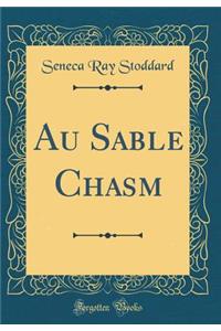 Au Sable Chasm (Classic Reprint)