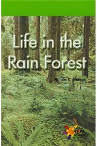 Life in the Rain Forest