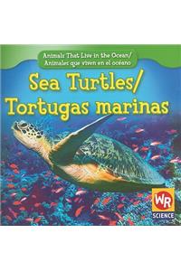 Sea Turtles / Tortugas Marinas